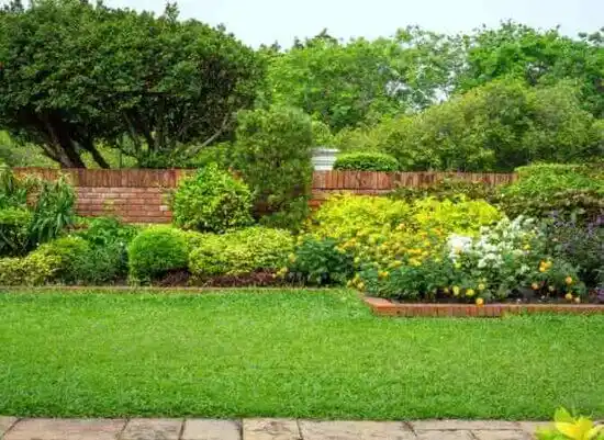 landscaping services St. Henry